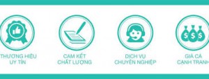 Chất lượng - An toàn - Tiến Độ 